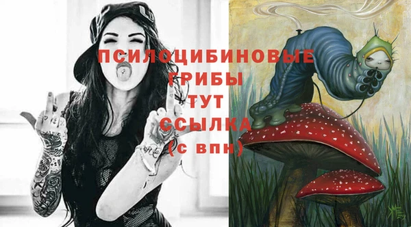 ПСИЛОЦИБИНОВЫЕ ГРИБЫ Остров