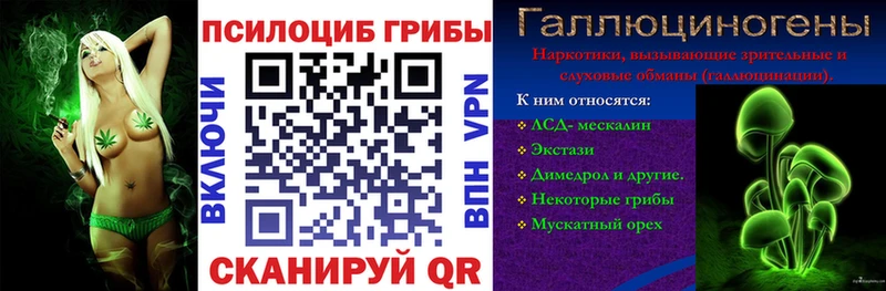 Галлюциногенные грибы прущие грибы Абинск